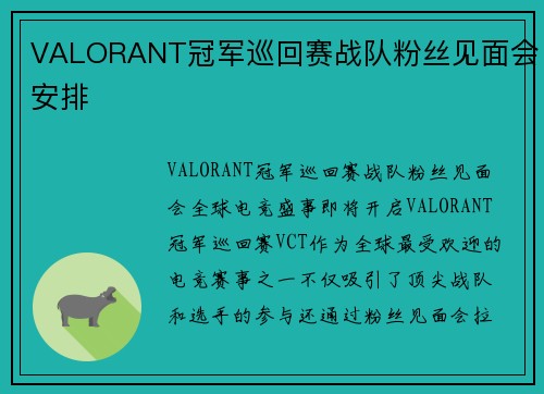 VALORANT冠军巡回赛战队粉丝见面会安排