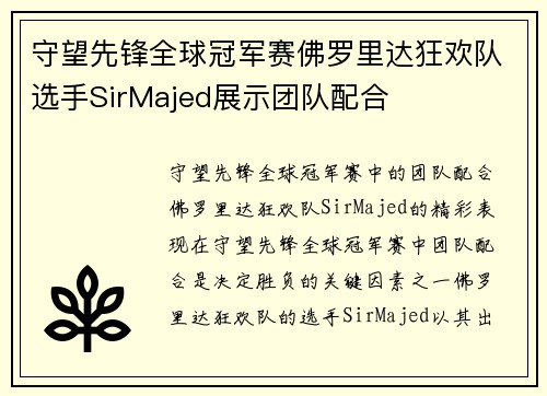 守望先锋全球冠军赛佛罗里达狂欢队选手SirMajed展示团队配合