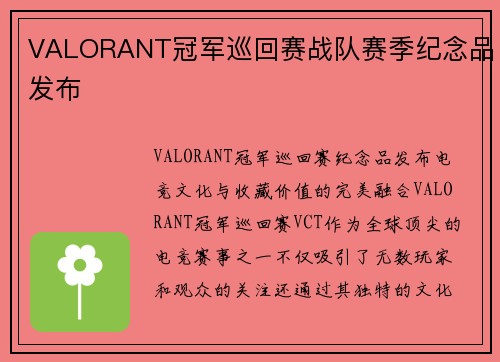 VALORANT冠军巡回赛战队赛季纪念品发布