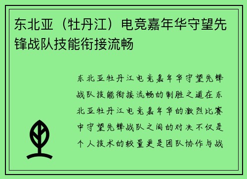 东北亚（牡丹江）电竞嘉年华守望先锋战队技能衔接流畅