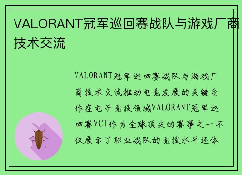 VALORANT冠军巡回赛战队与游戏厂商技术交流