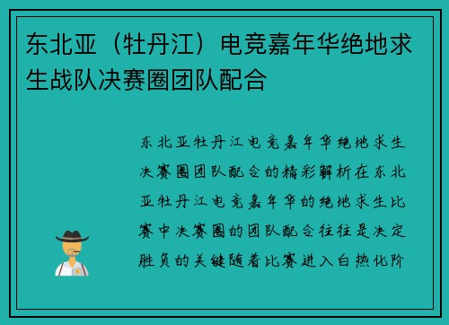 东北亚（牡丹江）电竞嘉年华绝地求生战队决赛圈团队配合