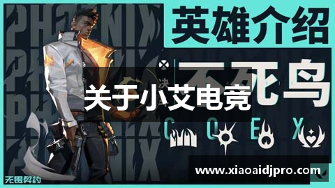 关于小艾电竞